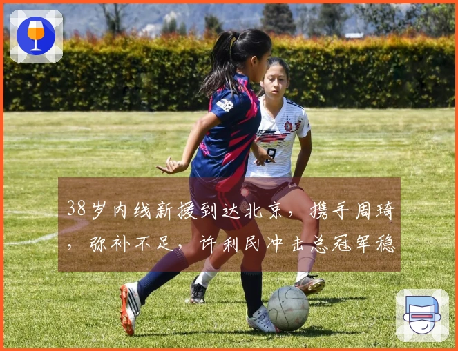 38岁内线新援到达北京，携手周琦，弥补不足，许利民冲击总冠军稳了